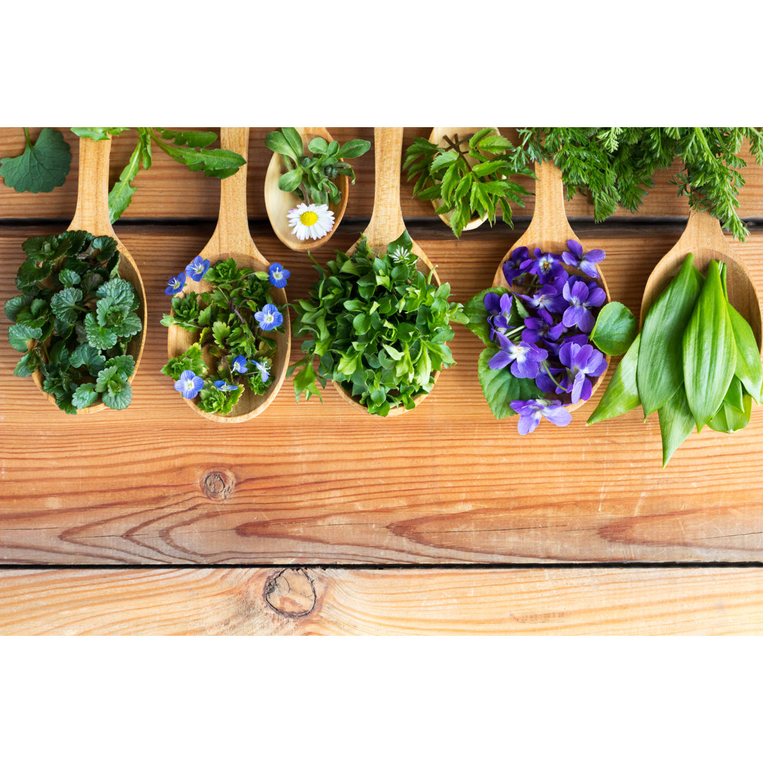 Fotografie auf Leinwand Fresh Wild Edible Spring Herbs on Wooden Spoons von Madeleine Steinbach