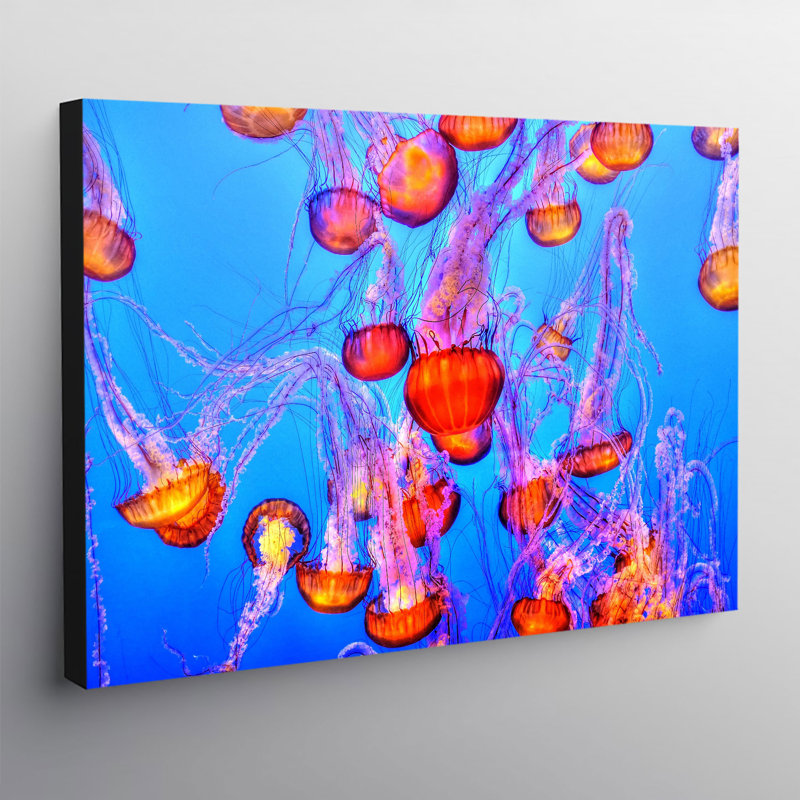 Jellyfish Colourful - Wrapped Canvas Print, 21cm H x 31cm W x 4cm D