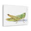 No Frame Print on Canvas-1229508839