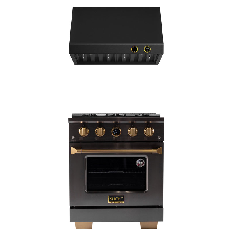 30 In. 4.2 Cu. Ft. 4 Burners Dual Fuel Range For Propane Gas In Titanium Stainless Steel + Under Cabinet Range Hood