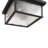 Estate - 3-Light Outdoor Flush Mount - Black with Brass Accent - Rain Glassware Shade