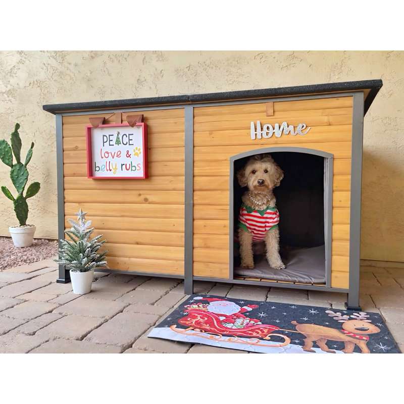 Très grande maisonnette d'extérieur chauffée pour grands chiens 59 po Gwynette, Brun