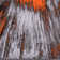Abstract Indoor Rug