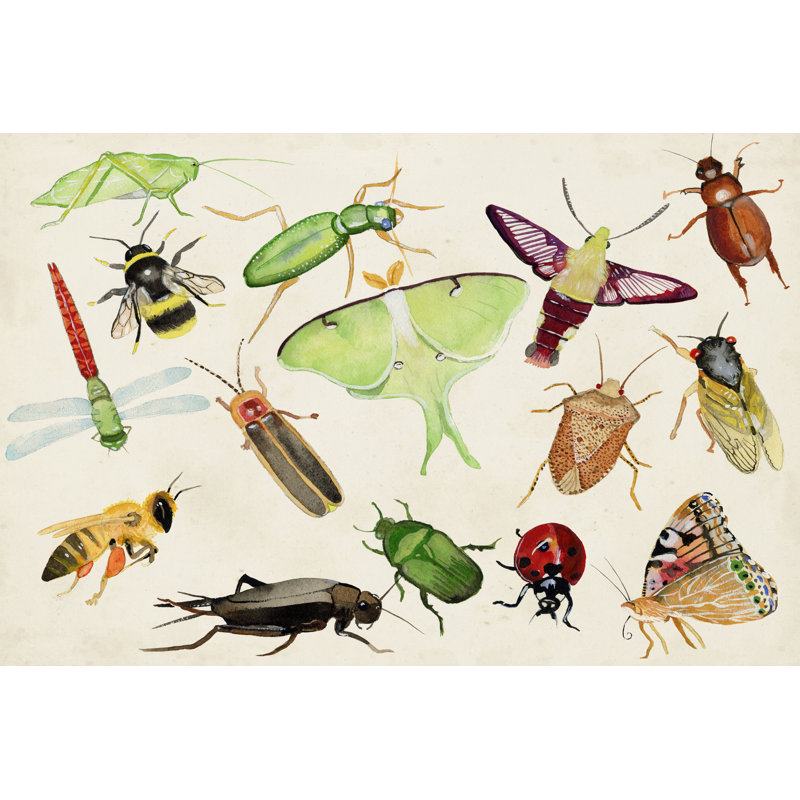 Bugdom II by Alicia Ludwig -  Painting, 20 cm H x 30 cm W, Wrapped Canvas