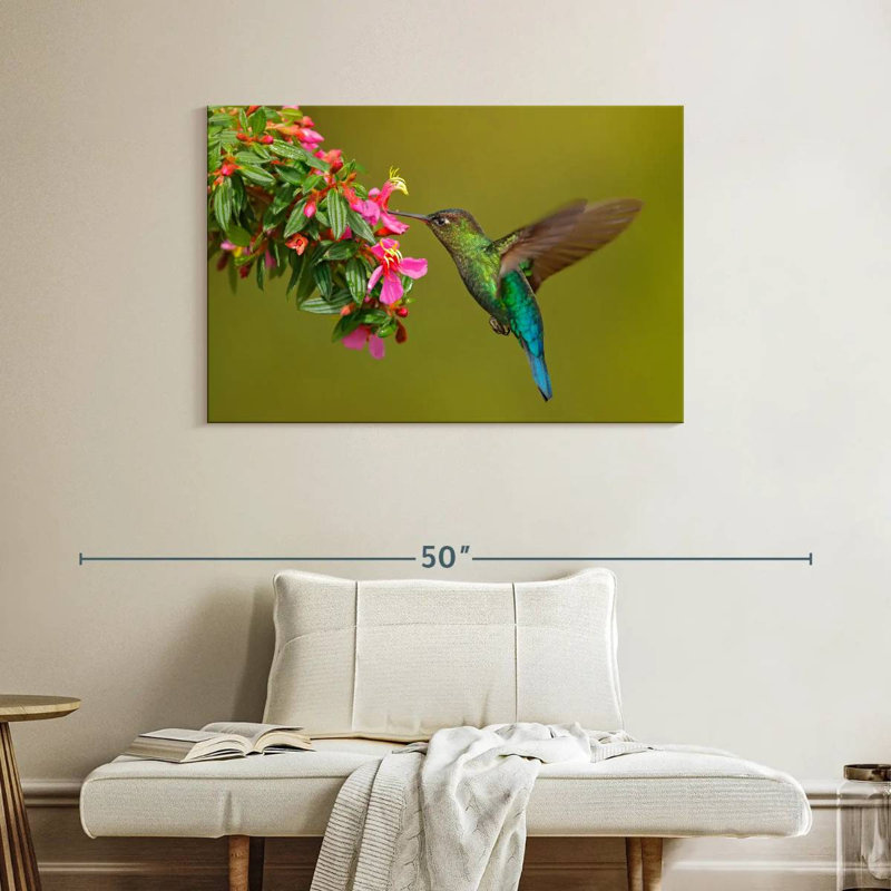 Brampt Hummingbird Feeding, 26'' H x 39'' W