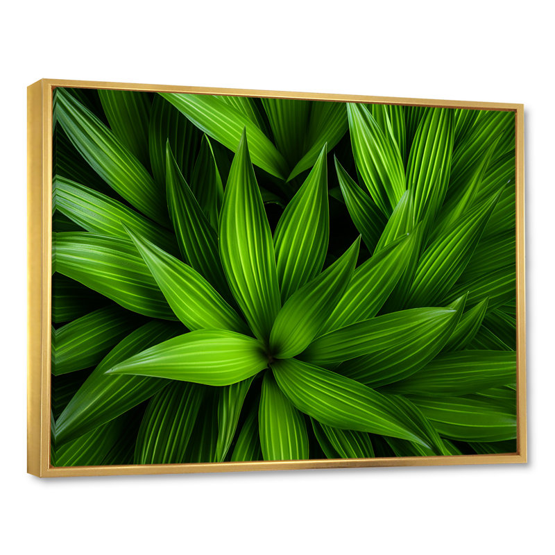 Greenerys Gaze sur impression sur toile, Cadre flottant doré, H 16 po x l 32 po x P 1 po