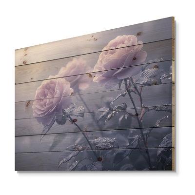 Lavande roses en fleurs dans la matinée III - décoration murale en bois de roses - sur bois de pin naturel