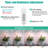 CELECTIGO Grow Light for Indoor Plants
