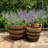 Ameera 3 Piece Woven Wicker Baskets