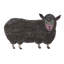 Black Sheep by Eric Carle - Painting on Canvas-1497243726