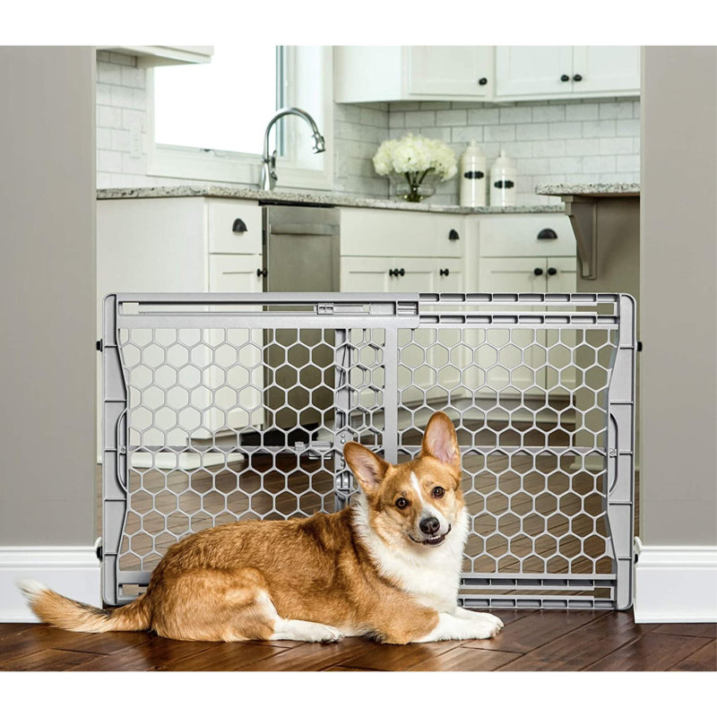 Coetzee Plastic Adjustable Pressure Mounted Pet Gate