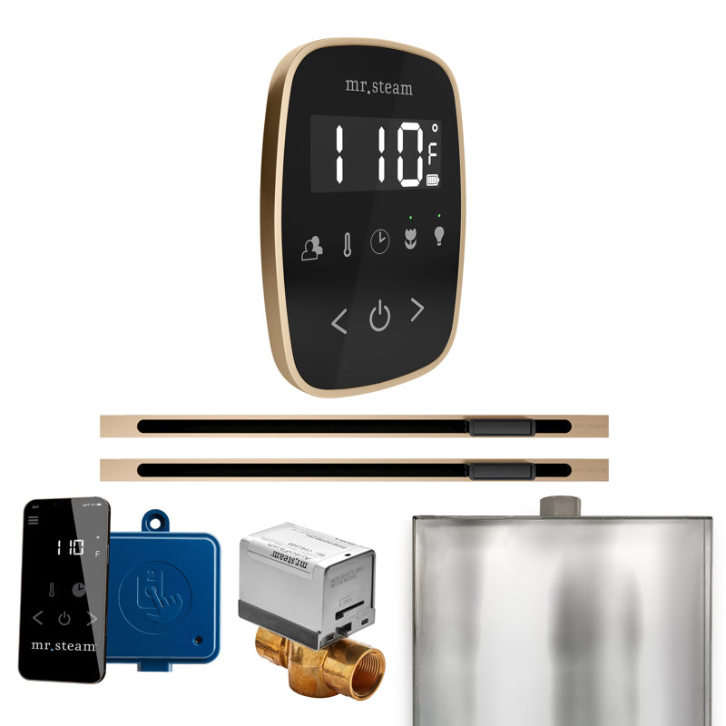 Ensemble de commande de douche à vapeur ButlerFlex Max avec contrôle TempoFlex et tête de vapeur linéaire 