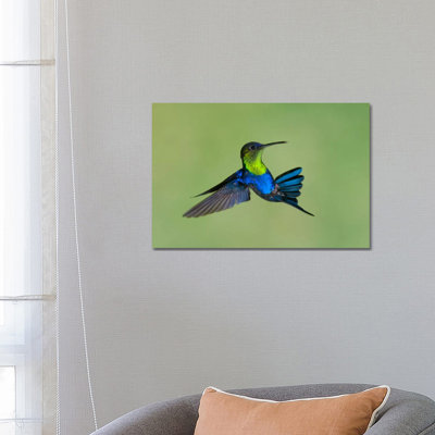 Chippy Origami II 1 Piece Wrapped Canvas Wall Art