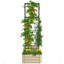 Boîte à fleurs d'extérieur avec cage à tomates en treillis et fond ouvert pour vignes grimpantes-1335763531