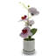 Nedka Hydrangea Arrangement in Vase