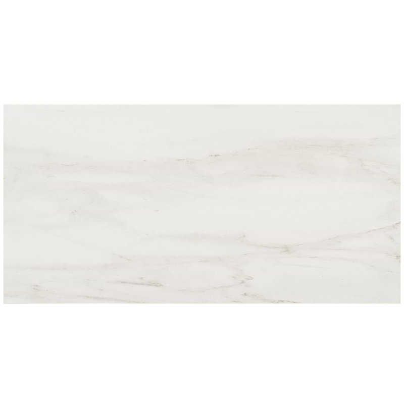 Dreamstone 12X24 Matte Porcelain Tile, Dolomite Snow Matte