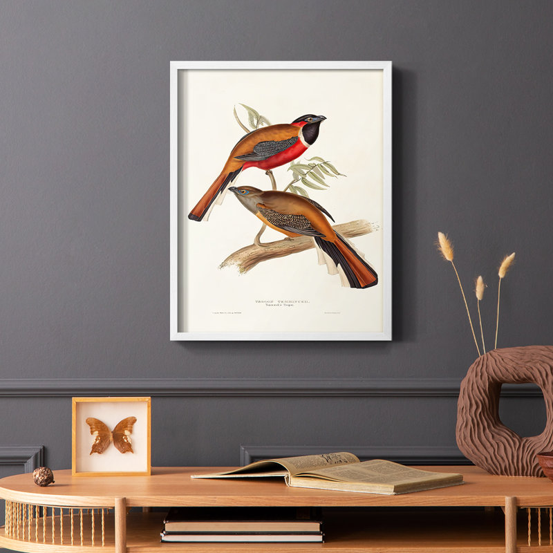 Impression encadrée Elegant Trogons IV - bois massif, H 28 po x l 22 po, Cadre simple blanc