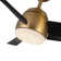 Thalia 54'' Ceiling Fan with LED Lights
