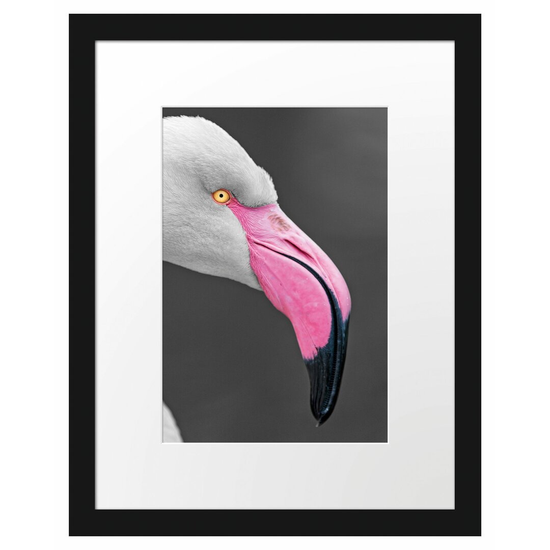 Flamingo Seitenprofil" Gerahmtes Fotoposter