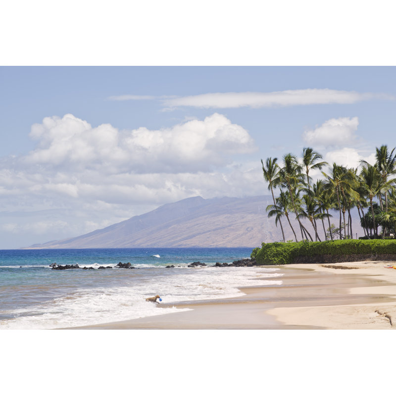 Palauea Beach par Picturelake, H 20 po x l 30 po
