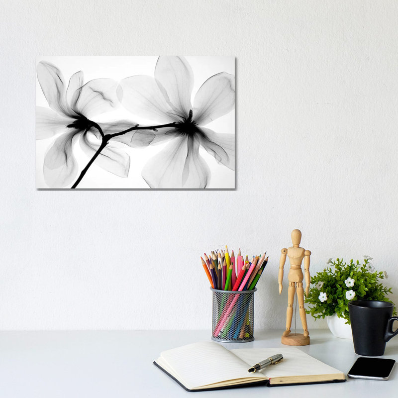 Magnolias I by Hong Pham - Print on Canvas, 20.32 cm H x 30.48 cm W, Wrapped Canvas