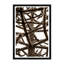 Structural Evergreen In Sepia Print by Tim Klein