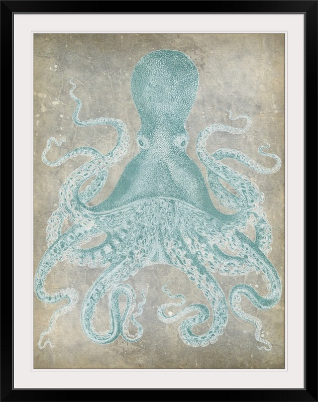 «Spa Octopus I» par Jennifer Goldberger, impression, H 24 po x l 20 po x P 1 po, Cadre noir