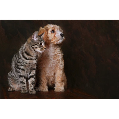 Best Friends - Print on Canvas