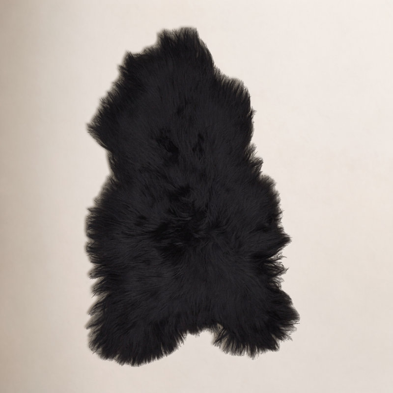Tapis Novelty, Nouveauté 2 pi x 3 pi, Noir