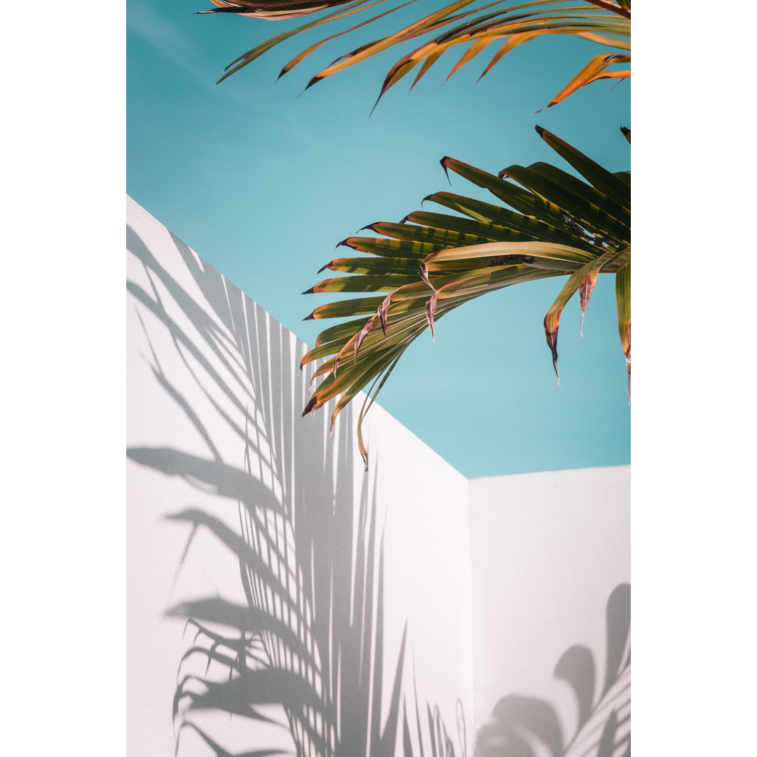 Palm Leaves Against Sky by Julyprokopiv - Drucken