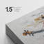 Violoncelle et notes de musique-131996854-131996860