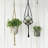 Akeila Plant Hanger-567718735