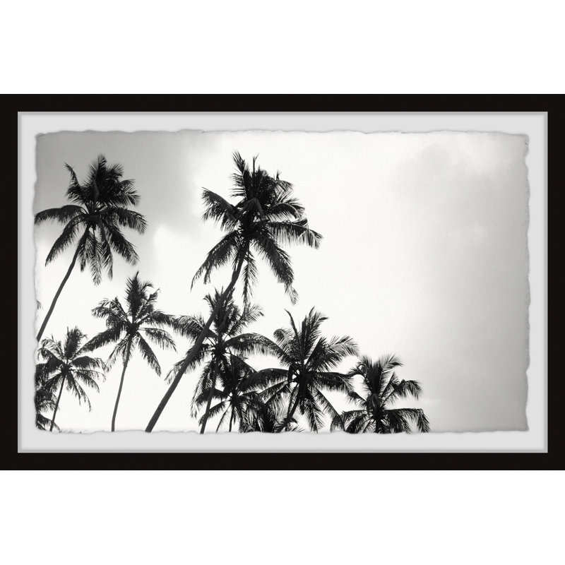 «Black and White Palms» - Impression de cadre photo sur papier, H 12 po x l 18 po x P 1,5 po