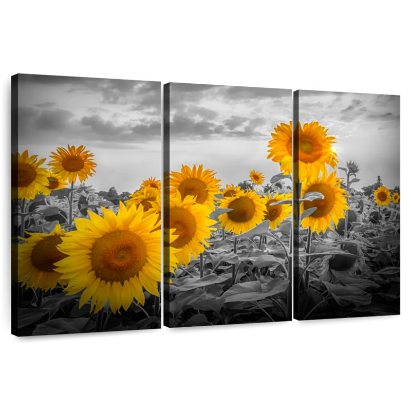 Harnek Sunflowers In The Evening - couleur jaune, H 20 po x l 33 po