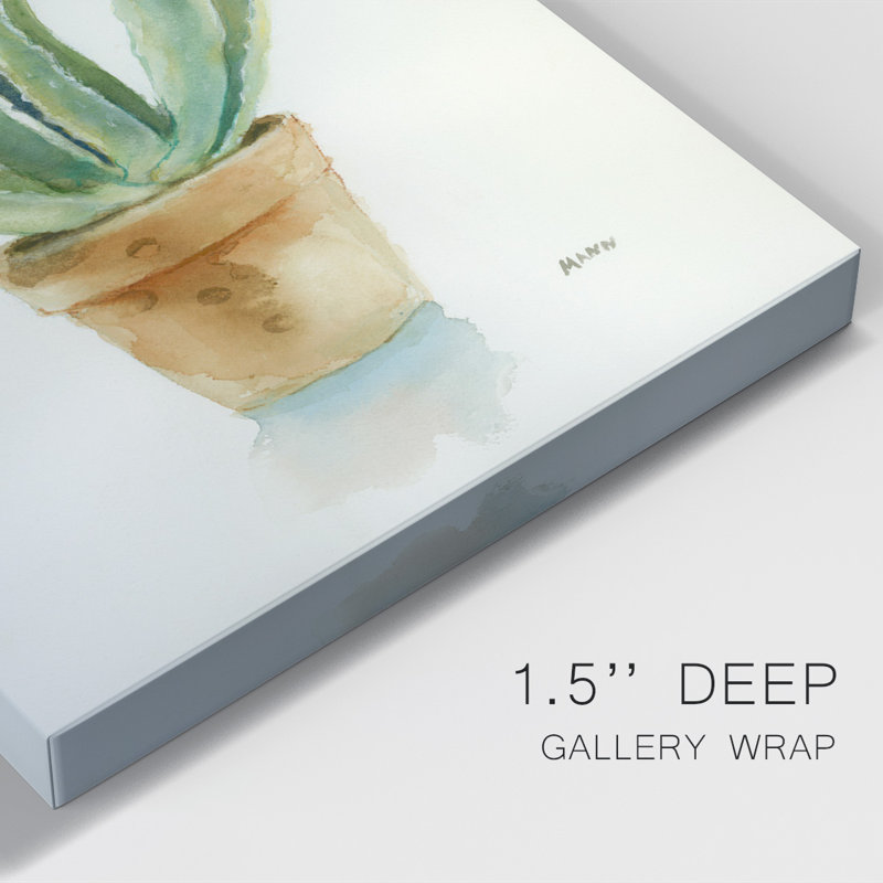 Toile tendue Succulent IV Premium Gallery - prête à être accrochée, H 27 po x l 18 po x P 1 po