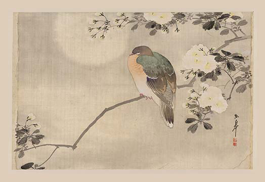 «Bird and Cherry Blossoms», reproduction d'art