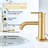 Single-Hole Single-handle Bathroom Faucet with Drain Assembly-101114603