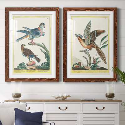 Cadre Pastel Birds III de qualité supérieure mat - prêt à être accroché