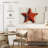 Brampt Beach Red Starfish-108079887