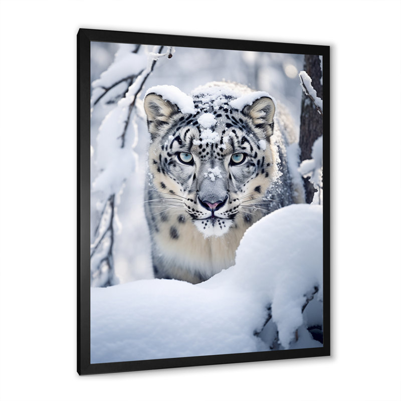 Tigre blanc en hiver II - reproduction sur toile, Cadre photo noir, H 20 po x l 12 po x P 1 po