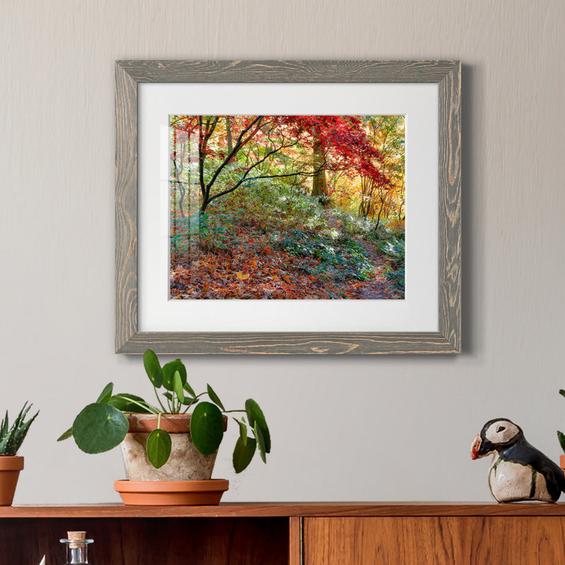 Secret Garden par J Paul - reproduction de photo sur papier encadrée, H 18 po x l 24 po x P 1,5 po, Gris