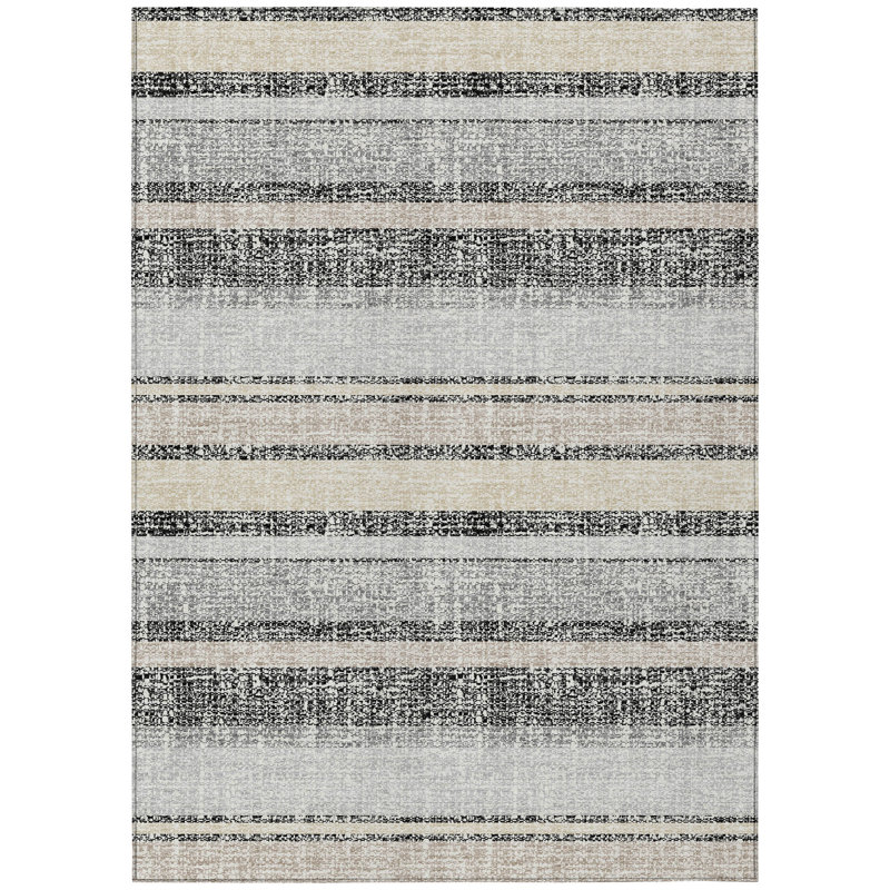 Machine Washable Indoor/Outdoor Xhevrie Black Rug, Rectangle 9' x 12'