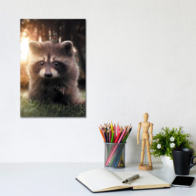Raccoon Butterfly by Zenja Gammer - Print on Canvas