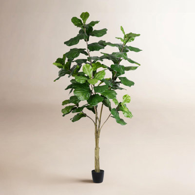 84" Tree in Pot