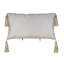 Imogen Lumbar Pillow Cover & Insert