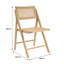ASHTON FOLDING DINING CHAIR-146317773