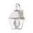 Anayjah 2 - Bulb 16.5" Outdoor Wall Lantern-1344769141