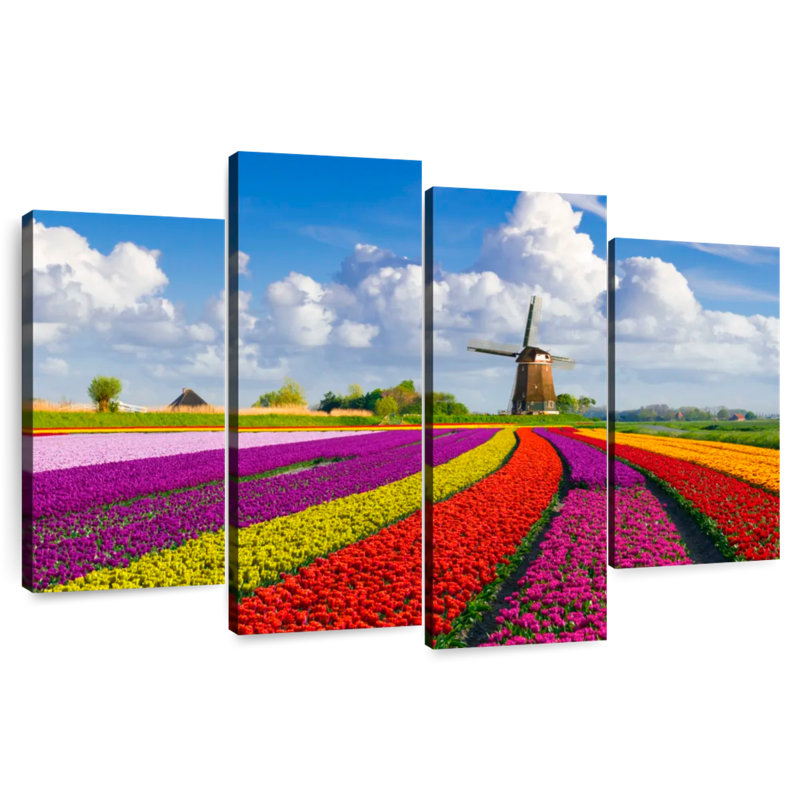 Rangées de tulipes multicolores Alvord, H 22 po x l 36 po