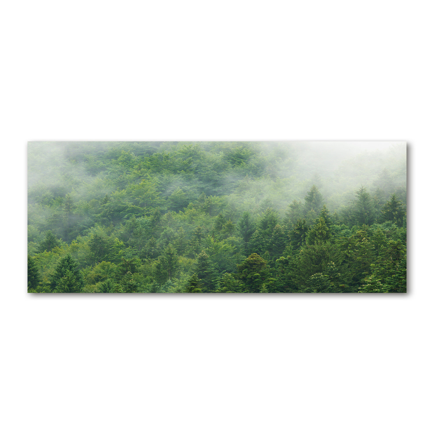 Union Rustic Mysterious Forest Wrapped Canvas - Art Prints | Wayfair.co.uk
