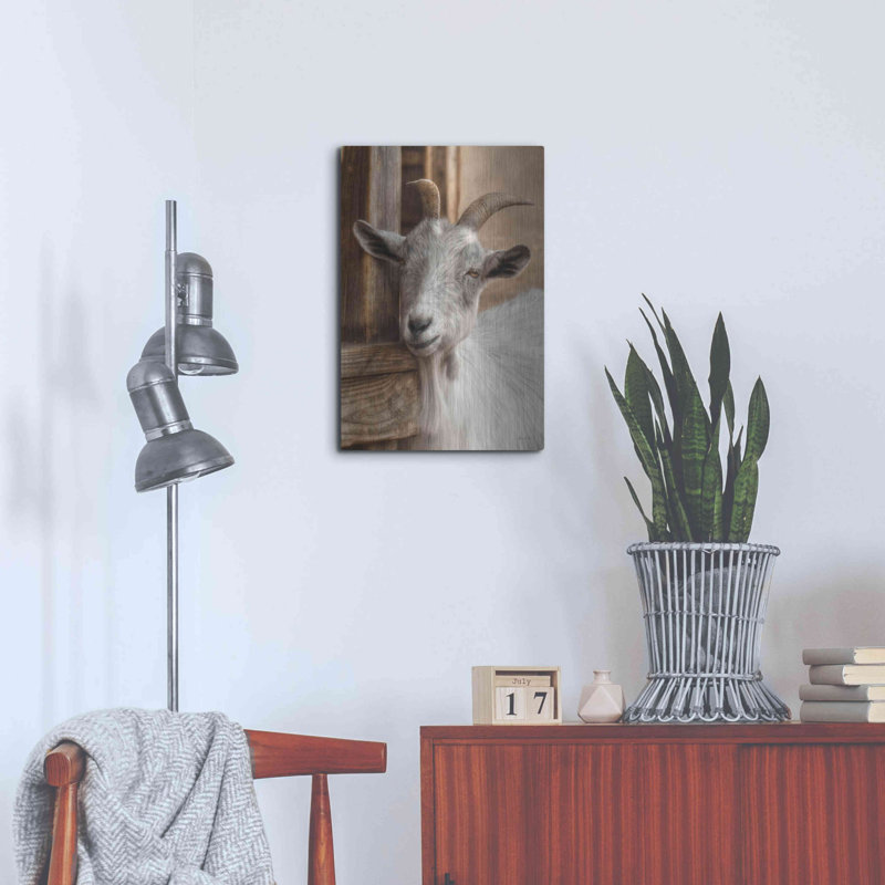 «Grey Goat» par Lori Deiter, H 24 po x l 16 po